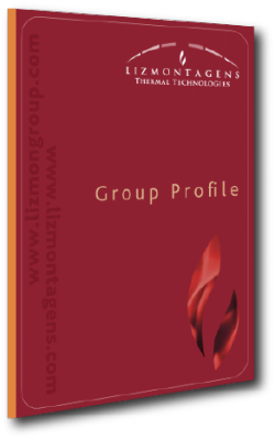 Lizmontagens Group Profile (2016)
